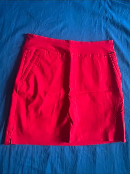 S.C. & Co. Dresses & Skirts - Women’s Red Mini Dress - Unbranded
